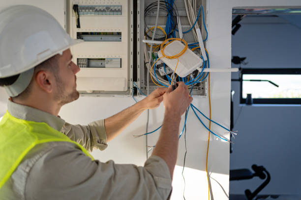 Best Electric Panel Repair  in Grand Rapids, MN